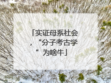 实证母系社会，“分子考古学”为啥牛