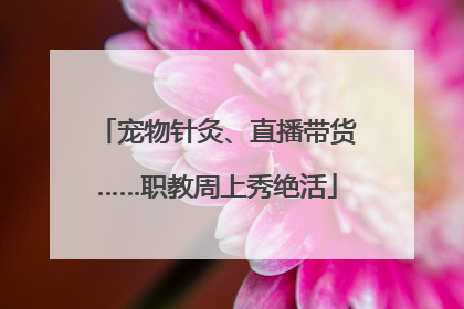 宠物针灸、直播带货……职教周上秀绝活