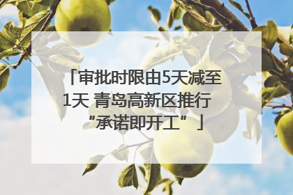 审批时限由5天减至1天 青岛高新区推行“承诺即开工”