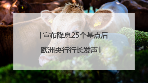 宣布降息25个基点后 欧洲央行行长发声