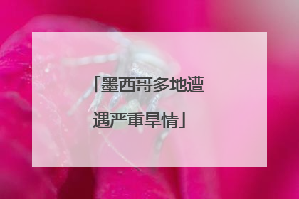 墨西哥多地遭遇严重旱情