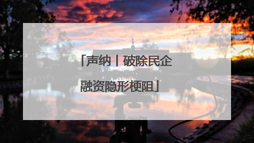 声纳丨破除民企融资隐形梗阻
