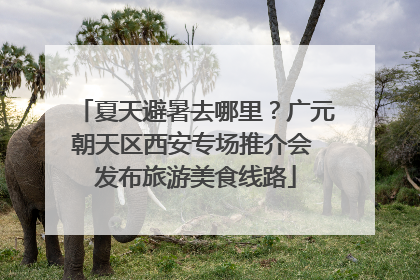 夏天避暑去哪里？广元朝天区西安专场推介会 发布旅游美食线路