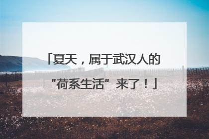夏天，属于武汉人的“荷系生活”来了！