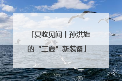 夏收见闻丨孙洪旗的“三夏”新装备