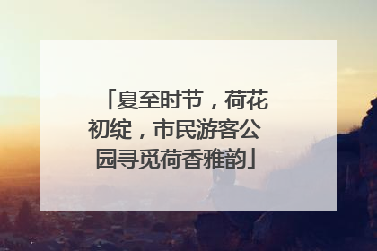 夏至时节，荷花初绽，市民游客公园寻觅荷香雅韵