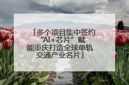 多个项目集中签约 “AI+芯片”赋能重庆打造全球单轨交通产业名片