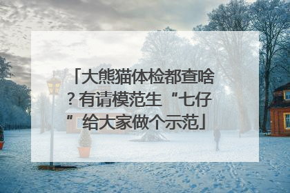 大熊猫体检都查啥？有请模范生“七仔”给大家做个示范