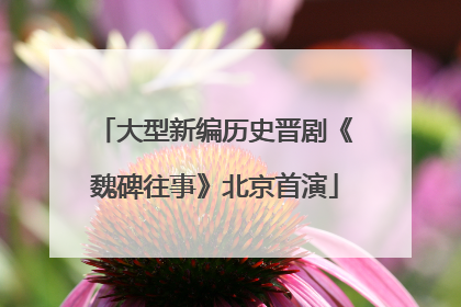 大型新编历史晋剧《魏碑往事》北京首演