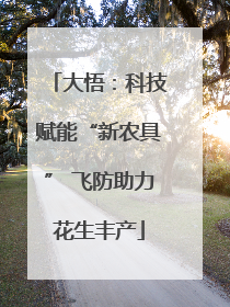 大悟：科技赋能“新农具” 飞防助力花生丰产