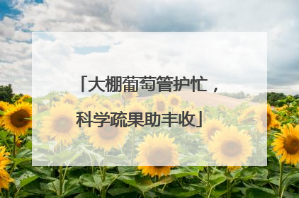大棚葡萄管护忙，科学疏果助丰收