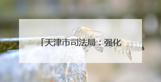 天津市司法局：强化规范化建设 不断提升全系统行政执法效能