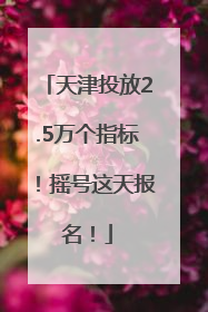 天津投放2.5万个指标！摇号这天报名！