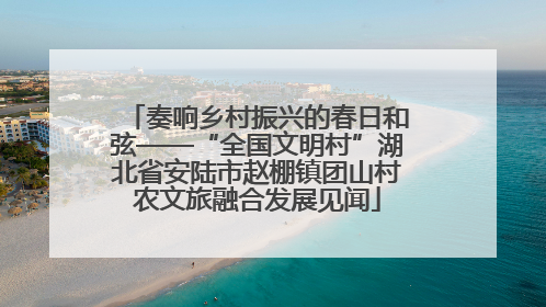 奏响乡村振兴的春日和弦——“全国文明村”湖北省安陆市赵棚镇团山村农文旅融合发展见闻