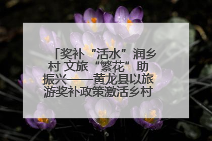 奖补“活水”润乡村 文旅“繁花”助振兴——黄龙县以旅游奖补政策激活乡村振兴新动能