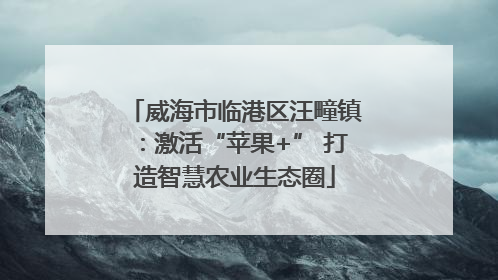 威海市临港区汪疃镇：激活“苹果+” 打造智慧农业生态圈