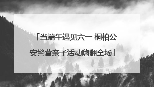 当端午遇见六一 桐柏公安警营亲子活动嗨翻全场