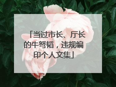 当过市长、厅长的牛弩韬，违规编印个人文集