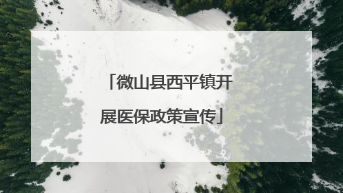 微山县西平镇开展医保政策宣传