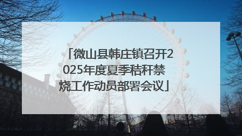 微山县韩庄镇召开2025年度夏季秸秆禁烧工作动员部署会议