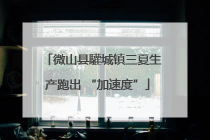 微山县驩城镇三夏生产跑出 “加速度”