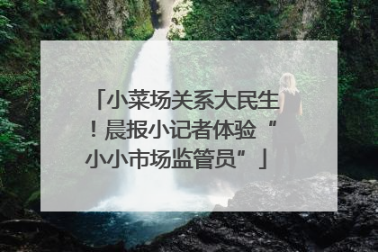 小菜场关系大民生！晨报小记者体验“小小市场监管员”