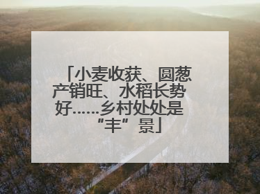 小麦收获、圆葱产销旺、水稻长势好……乡村处处是“丰”景