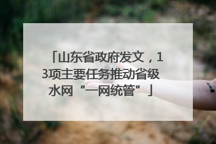 山东省政府发文，13项主要任务推动省级水网“一网统管”