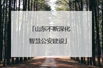 山东不断深化智慧公安建设