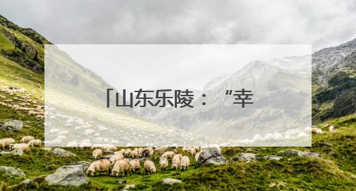 山东乐陵：“幸福市集”迎端午