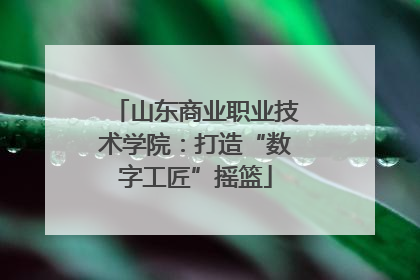 山东商业职业技术学院：打造“数字工匠”摇篮