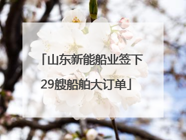 山东新能船业签下29艘船舶大订单