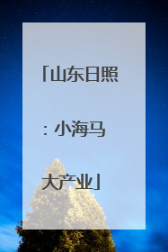 山东日照：小海马 大产业