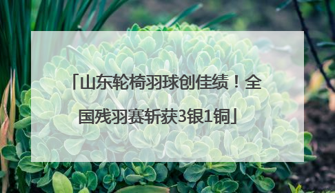 山东轮椅羽球创佳绩！全国残羽赛斩获3银1铜