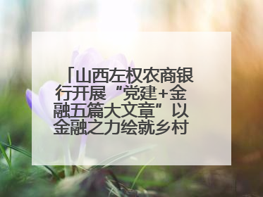 山西左权农商银行开展“党建+金融五篇大文章”以金融之力绘就乡村振兴新画卷