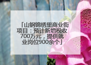 山钢锦绣里商业街项目：预计新增税收700万元，提供就业岗位900余个