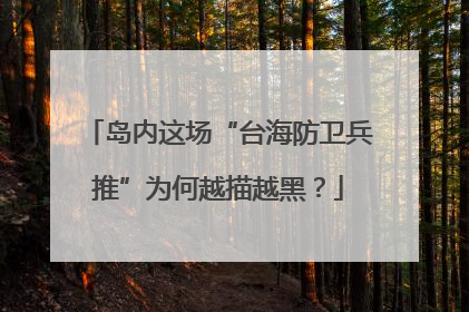 岛内这场“台海防卫兵推”为何越描越黑？