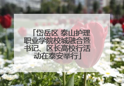 岱岳区 泰山护理职业学院校城融合暨书记、区长高校行活动在泰安举行