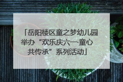 岳阳楼区童之梦幼儿园举办“欢乐庆六一·童心共传承”系列活动