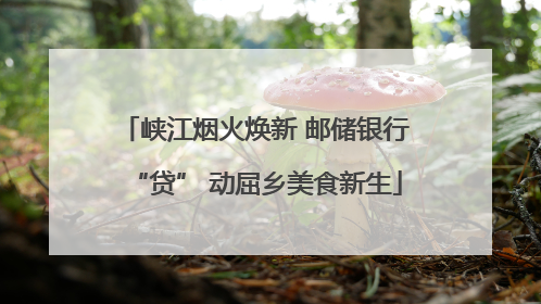 峡江烟火焕新 邮储银行“贷” 动屈乡美食新生