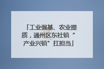 工业强基、农业提质，通州区东社镇“产业兴镇”扛担当