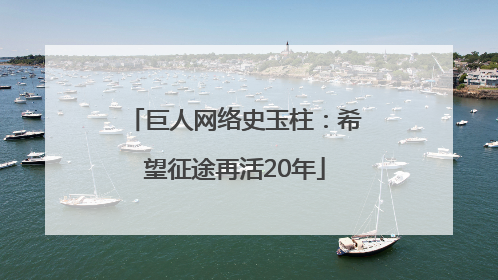 巨人网络史玉柱：希望征途再活20年