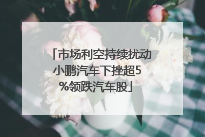 市场利空持续扰动 小鹏汽车下挫超5%领跌汽车股