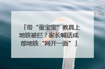 带“蚕宝宝”教具上地铁被拦？家长喊话成都地铁“网开一面”