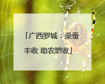 广西罗城：桑蚕丰收 助农增收