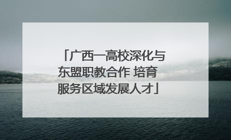 广西一高校深化与东盟职教合作 培育服务区域发展人才
