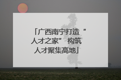 广西南宁打造“人才之家” 构筑人才聚集高地