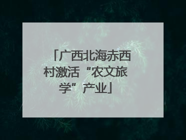 广西北海赤西村激活“农文旅学”产业