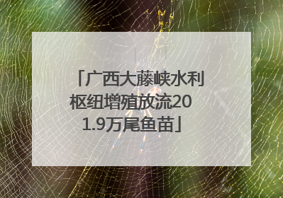 广西大藤峡水利枢纽增殖放流201.9万尾鱼苗