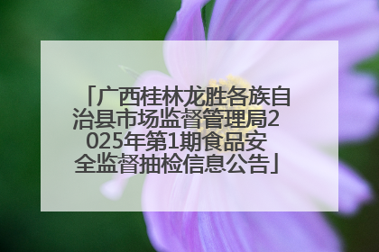 广西桂林龙胜各族自治县市场监督管理局2025年第1期食品安全监督抽检信息公告